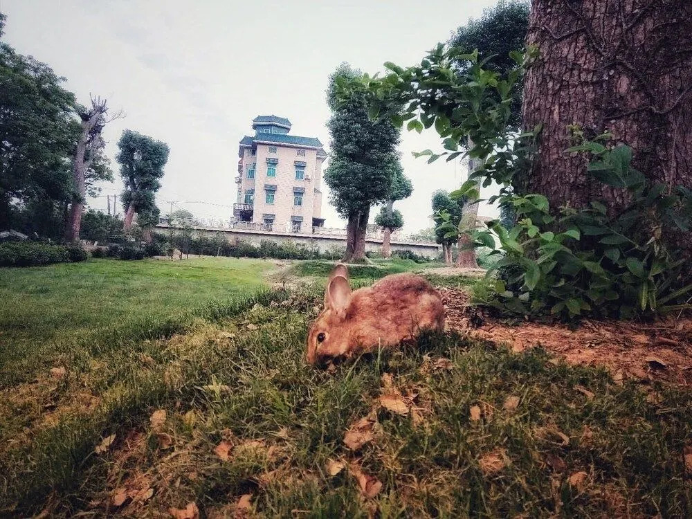 S·dor Hotel Hangzhou Xiaoshan Airport