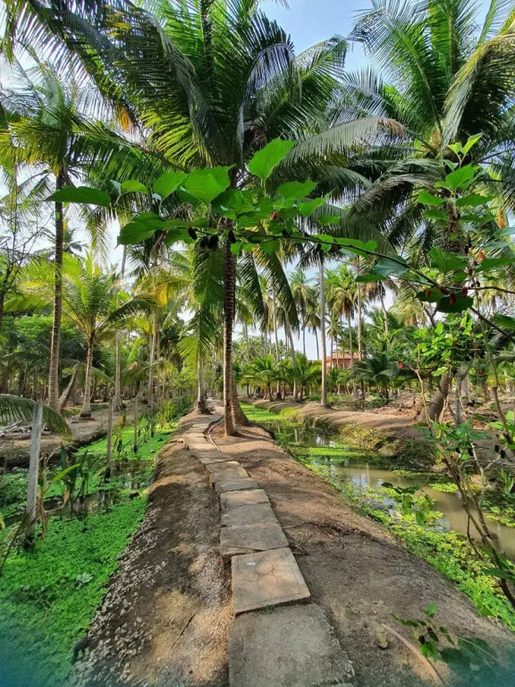 Kalacanal resort