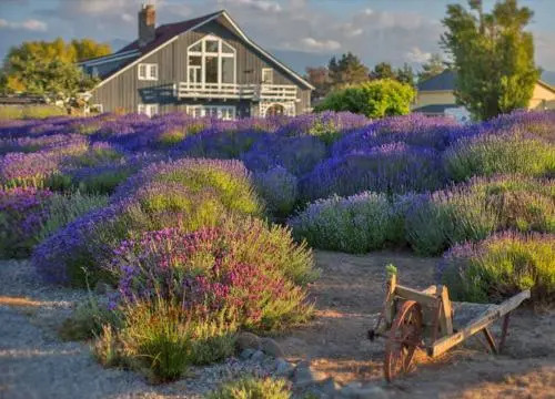 Dungeness Barn House Bed & Breakfast