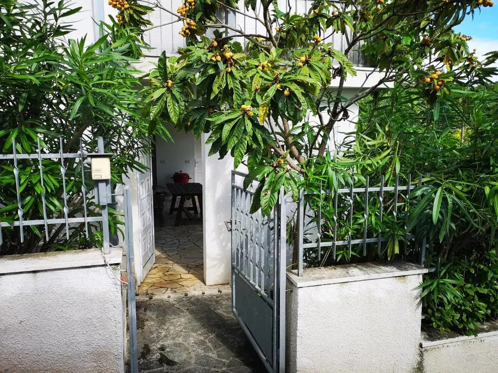 Ferienwohnung