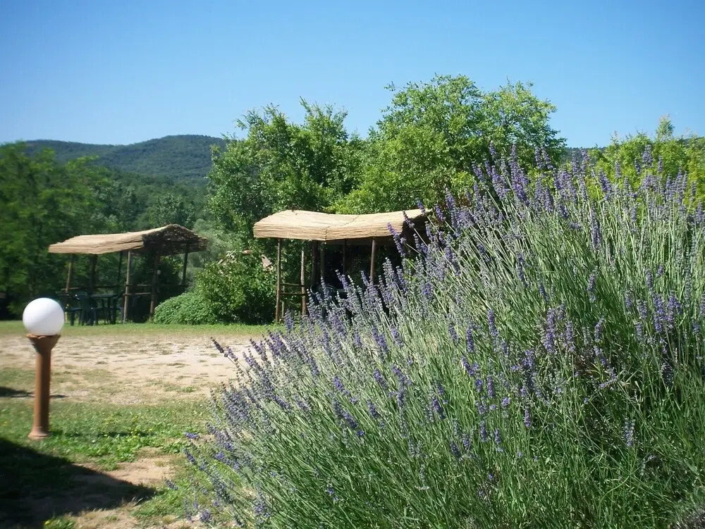 Agriturismo Bonzalone