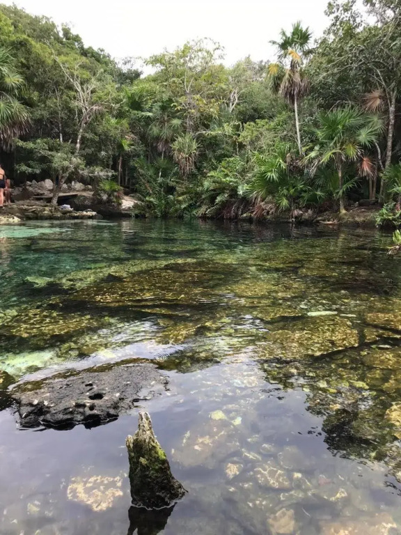 Villa Coral Cerebro de Espacio Yocte con Alberca a 10min de la 5taAv