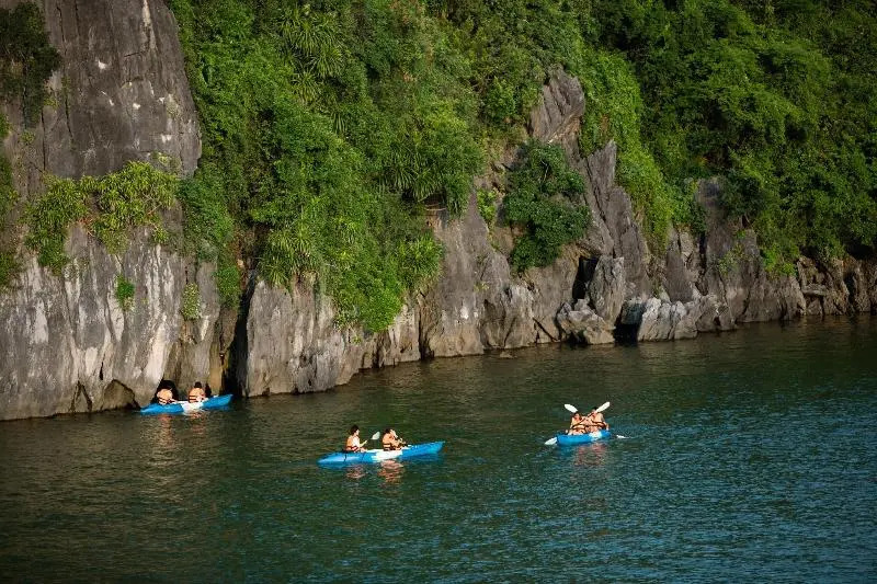 Peony Cruise managed by Big Bay Group