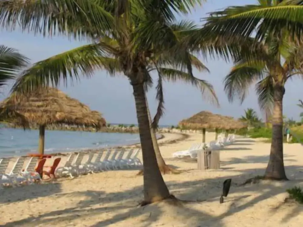 The Marlin at Taino Beach Resort & Clubs
