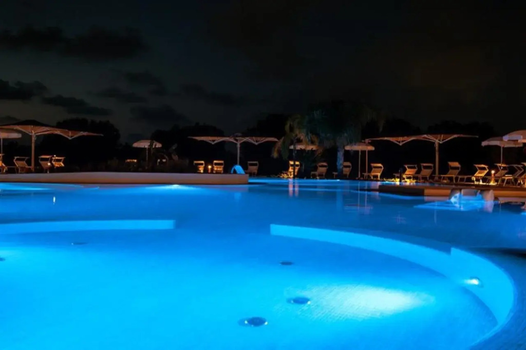 Agave Blu