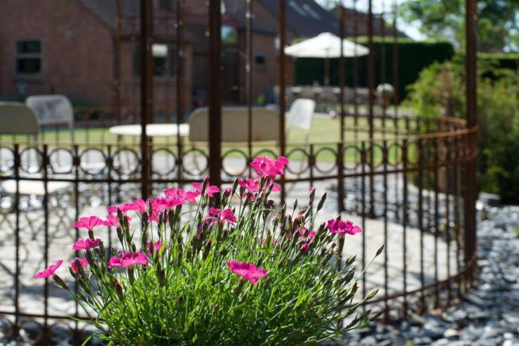B&B Gielse Garden