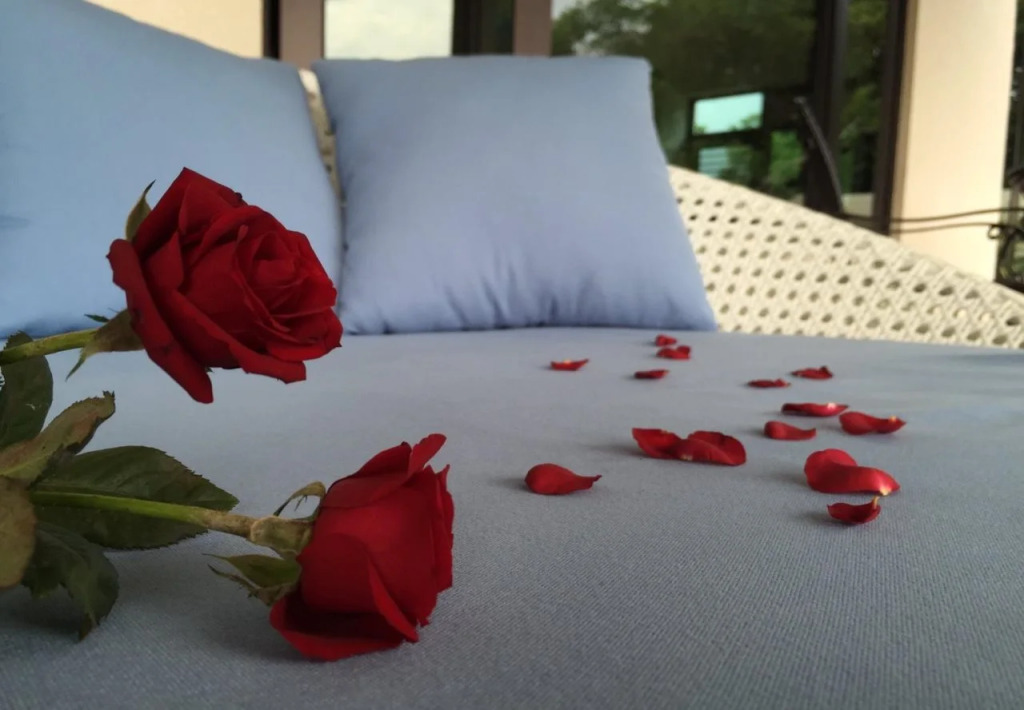 Kurumba JiJi B&B