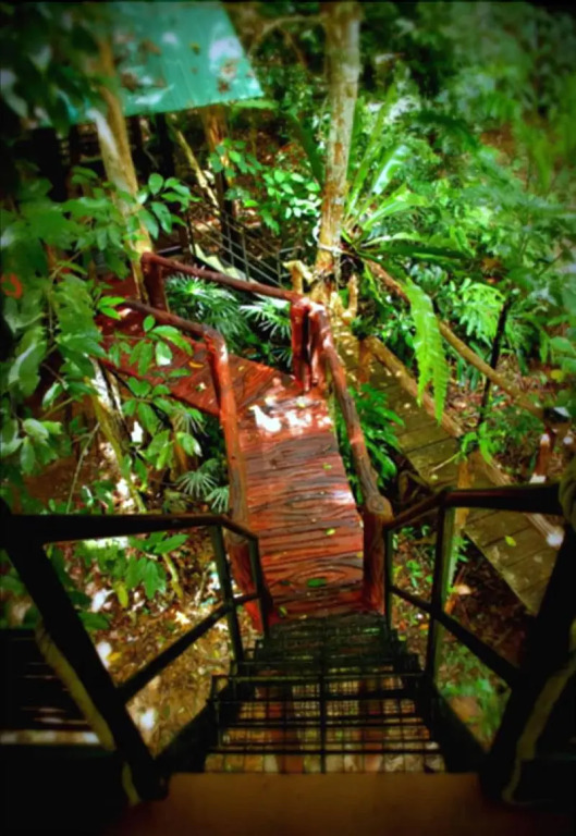 Khao Sok Tree House Resort