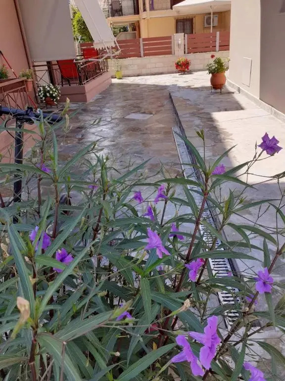 Nini's House 1