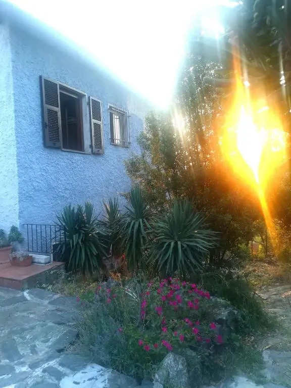 Il Capriolo