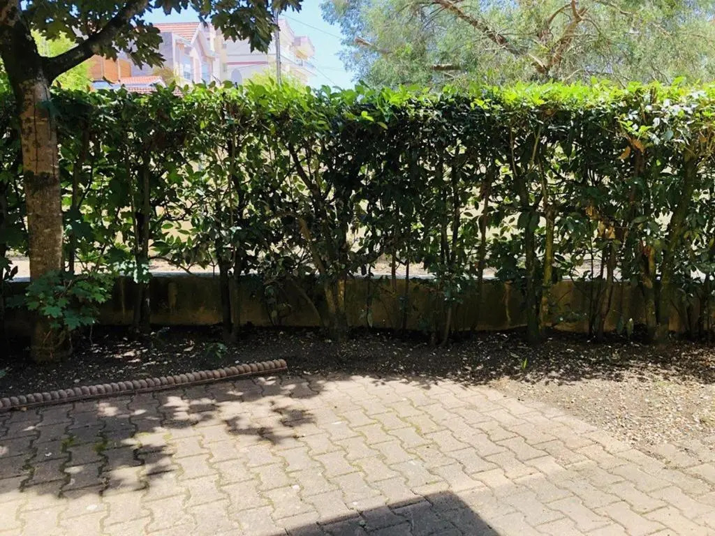Appartement Arcachon, 2 pièces, 4 personnes - FR-1-433-13