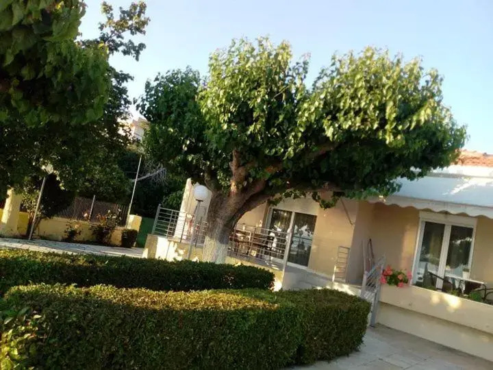 Mamanis Studios