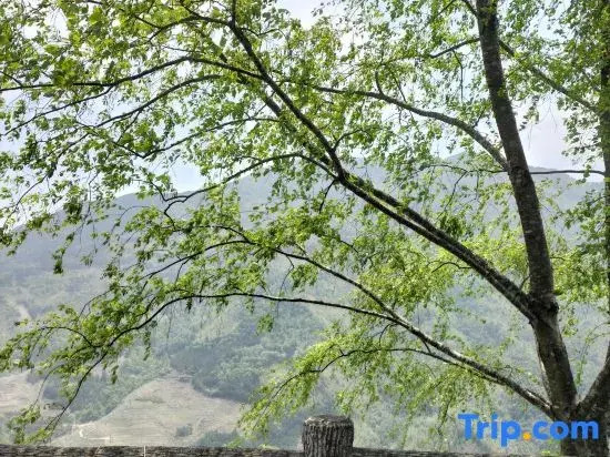 Longji Rice Terraces Xinyun Homestay