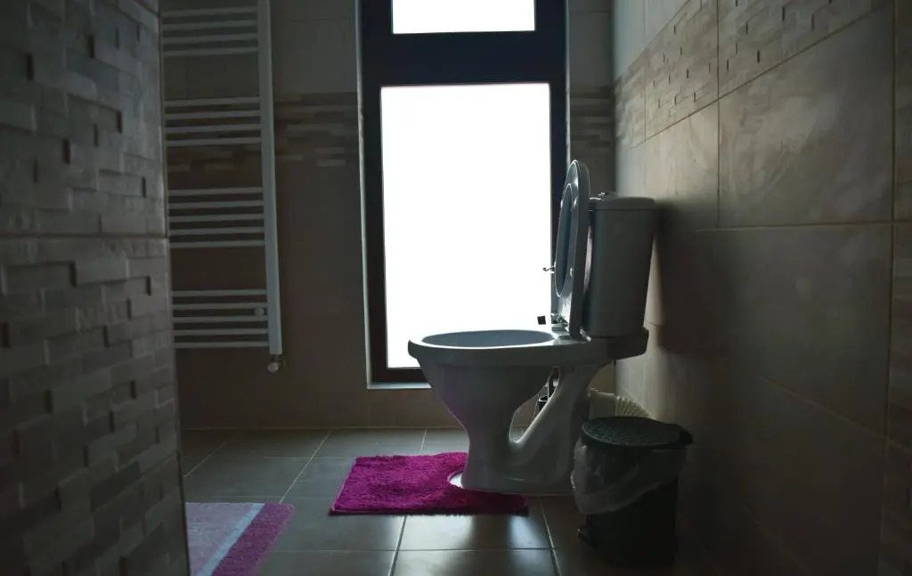 Apartament Liliac