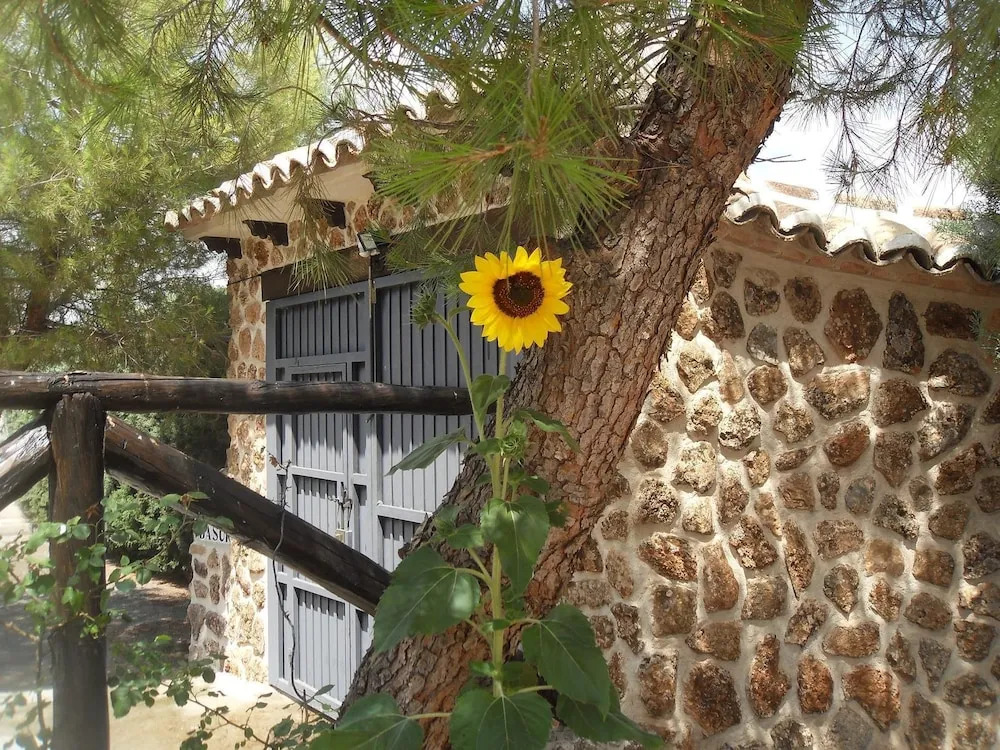 Casa Rural El Patas