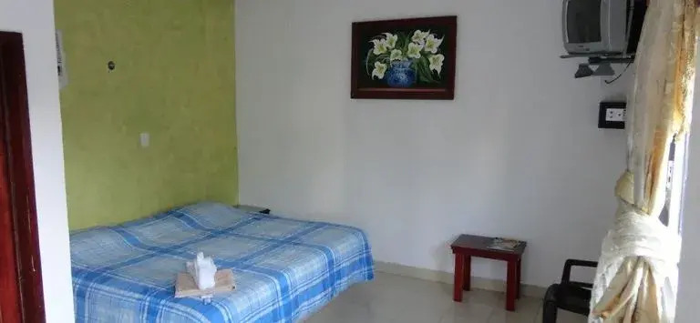 Oyo Hotel Palma Real