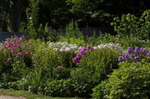Staveleigh House Bed and Breakfast