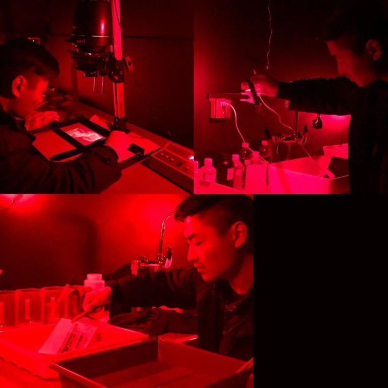 The Rock Hotel