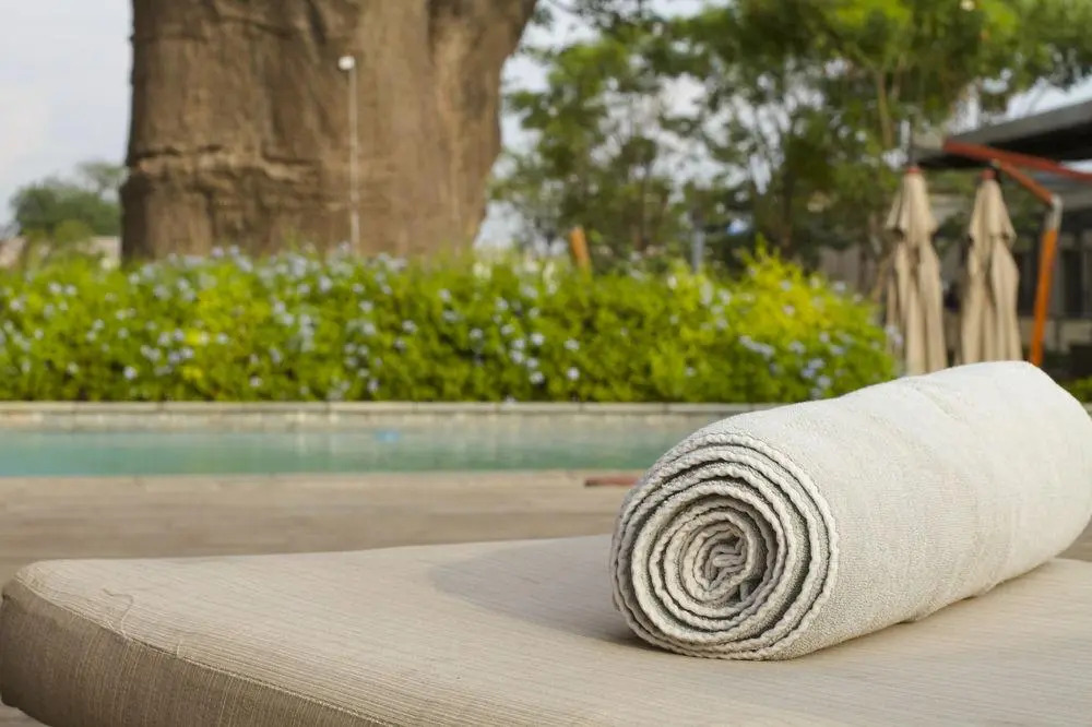 The VIP Executive Baobab