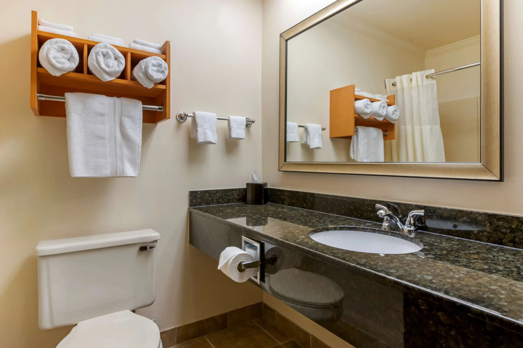 Best Western Davison Inn