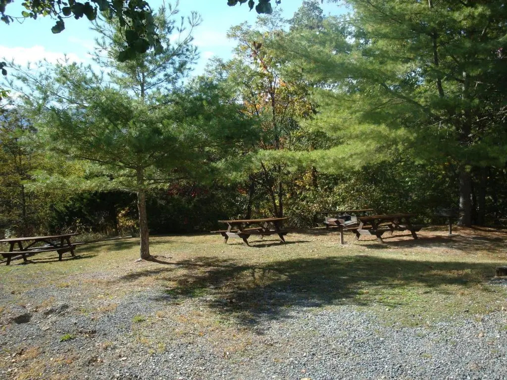 Senedo Springs