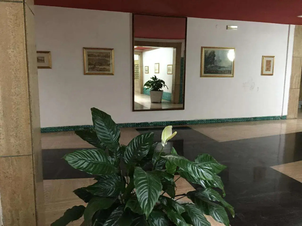 Two Sisters Suites