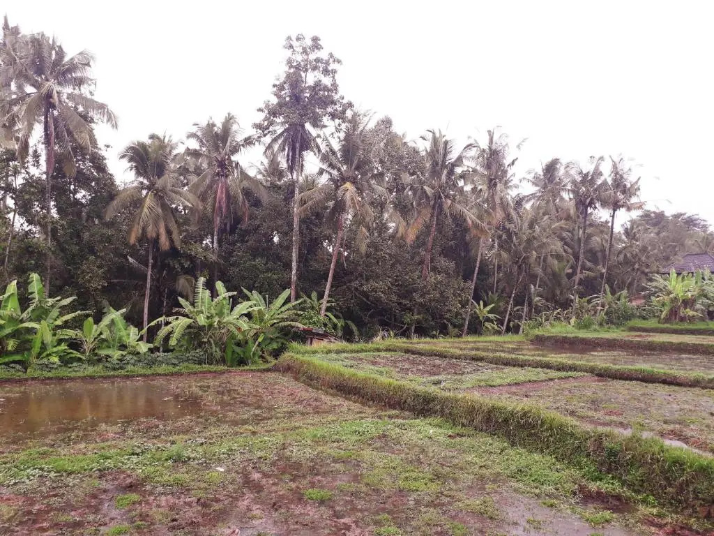 Galang hari villa