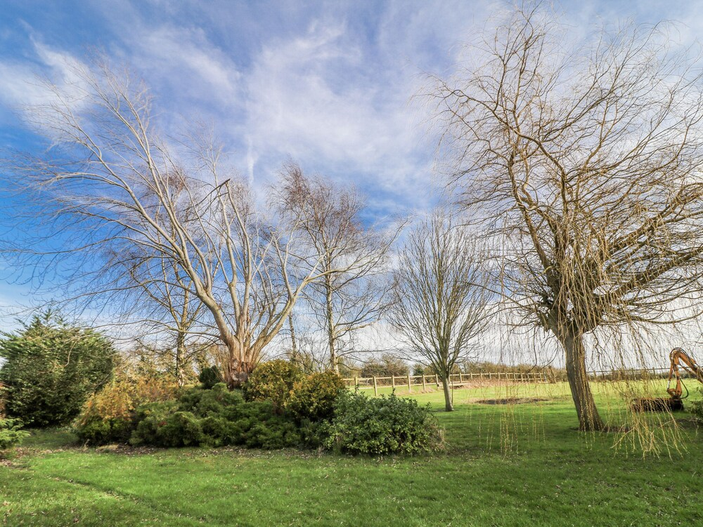 Cherry Trees