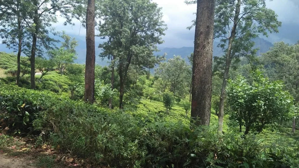 Ella Camping Resort