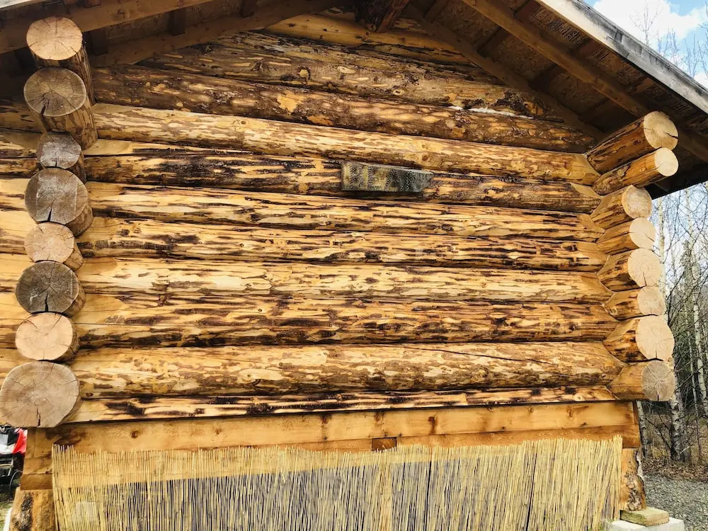 Wrangell Mountain Lodge