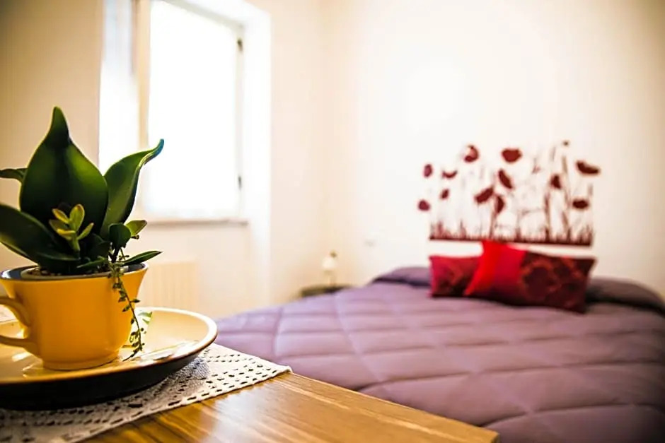B&B "Xenia"