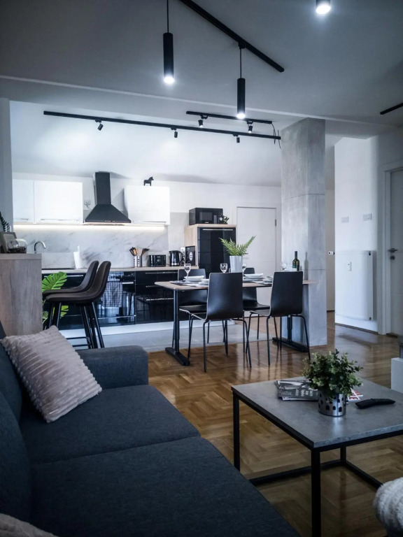 Raw Industrial City Apartment