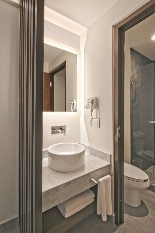 Gamma Orizaba Grand Hotel de France