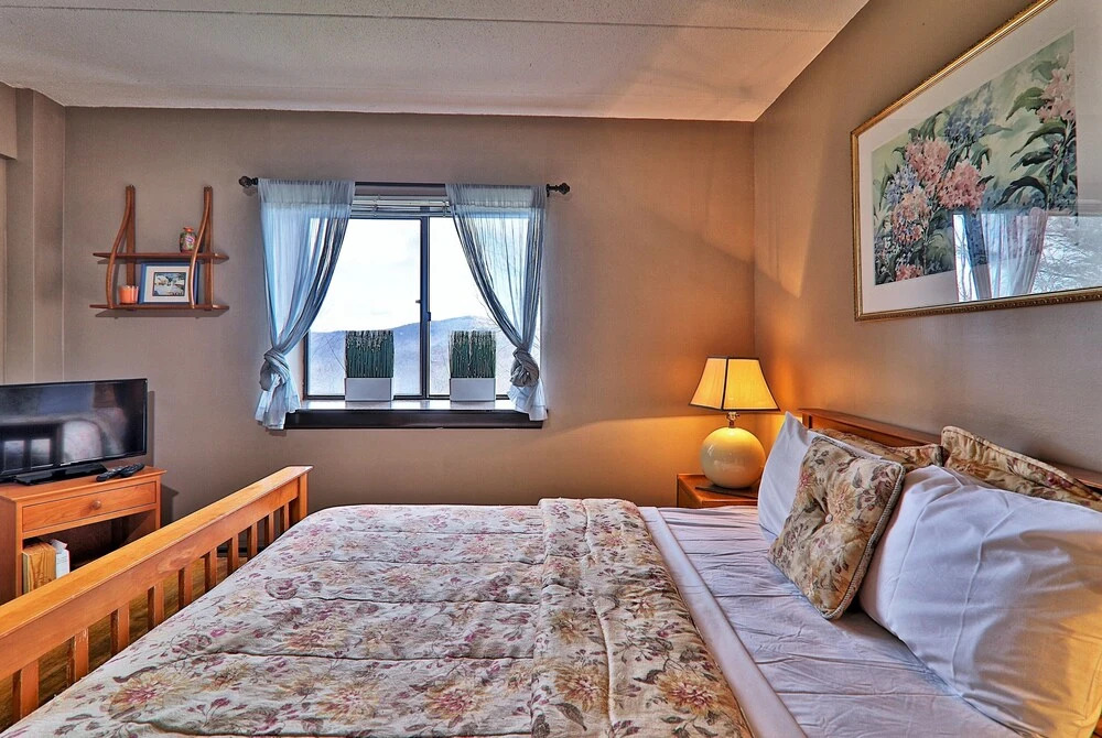 Mg 2B02 Mt Green Renovated 2Br Condo Close To Slopes