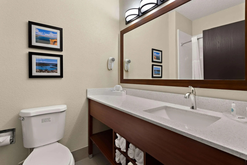 Comfort Suites University
