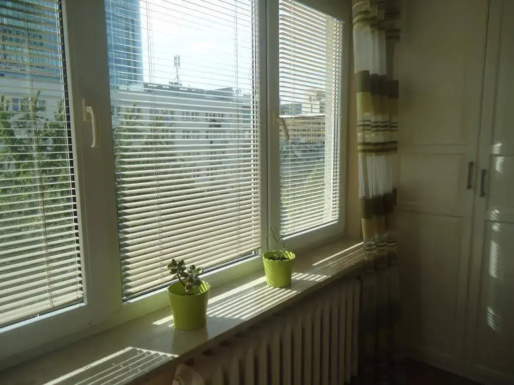 Studio Green