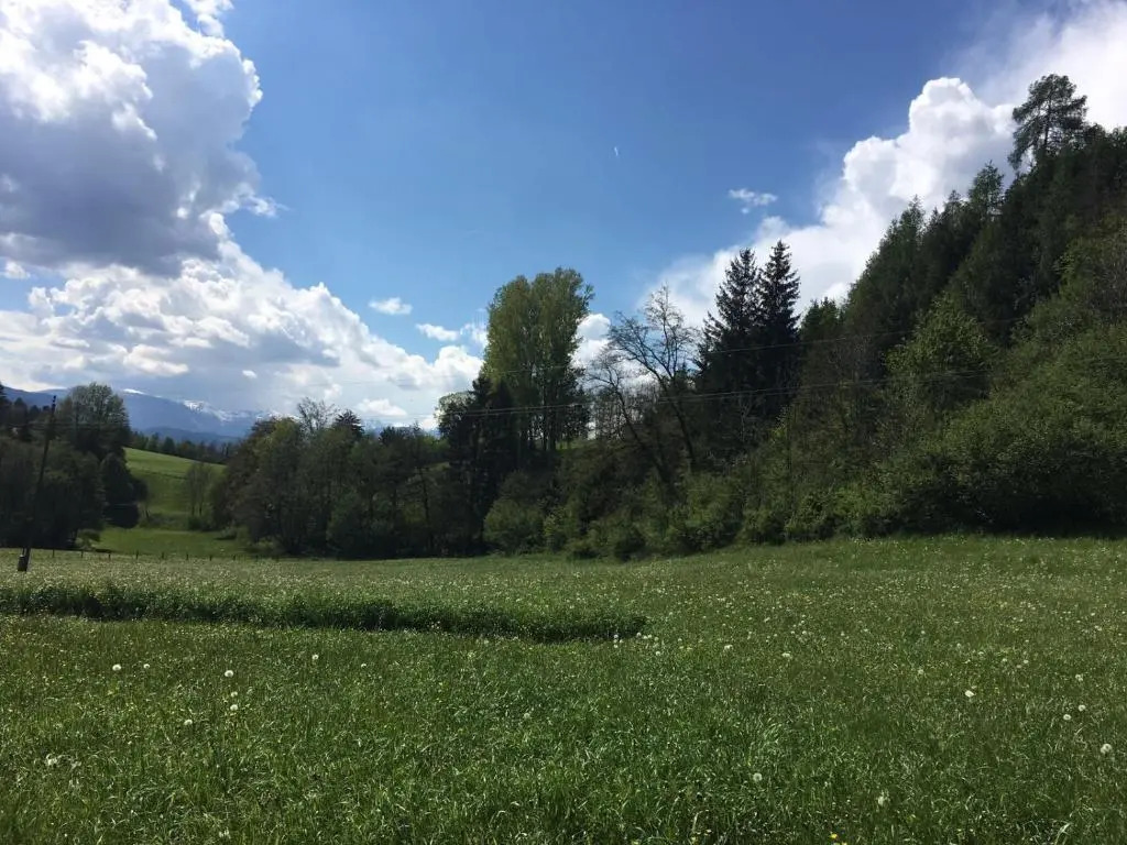 Pension Löwenherz