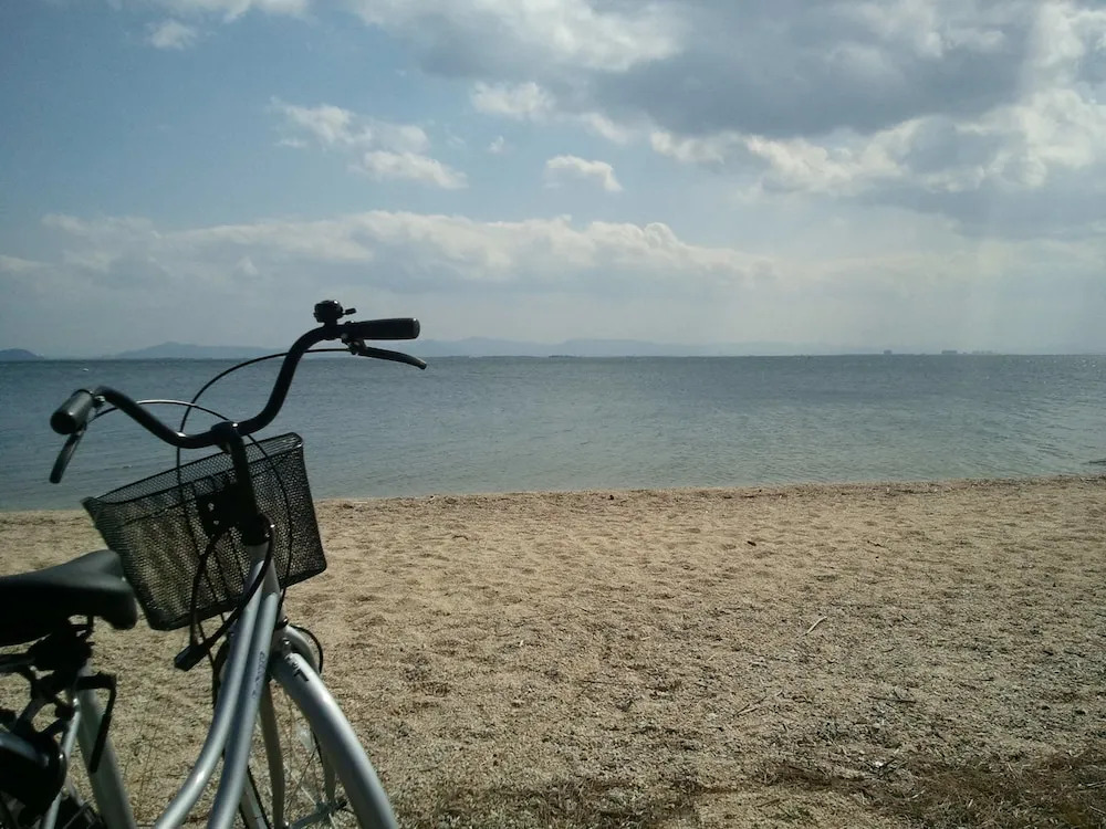 Holiday Afternoon