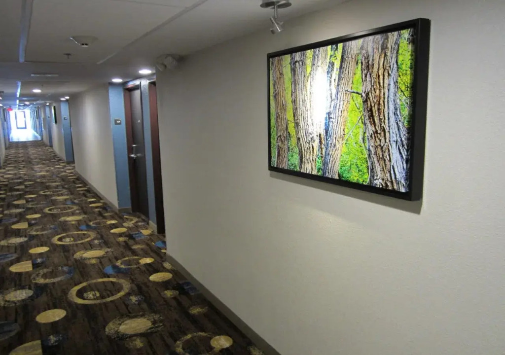 Best Western Plus Sunrise Inn
