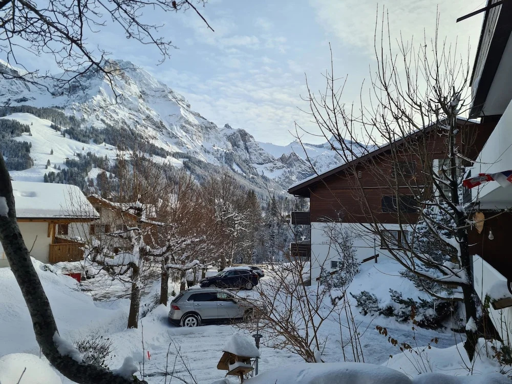 Chalet Akalei C6 Adelboden