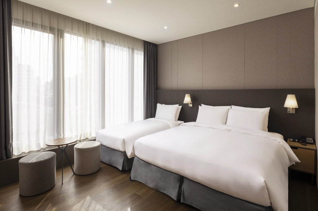 Ibis Ambassador Myeongdong