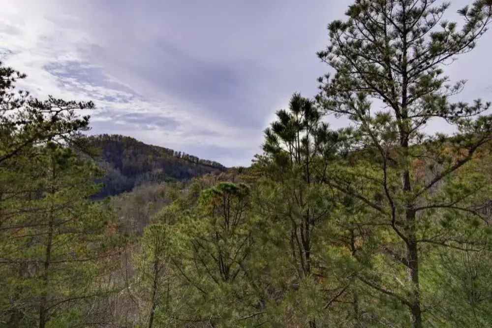 Grand Cherokee Lodge 5 Bedrooms 5 Bathrooms Home