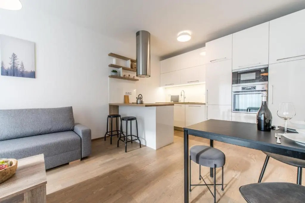 Mozart Central Apartments with garage