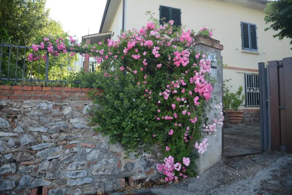 Casa1