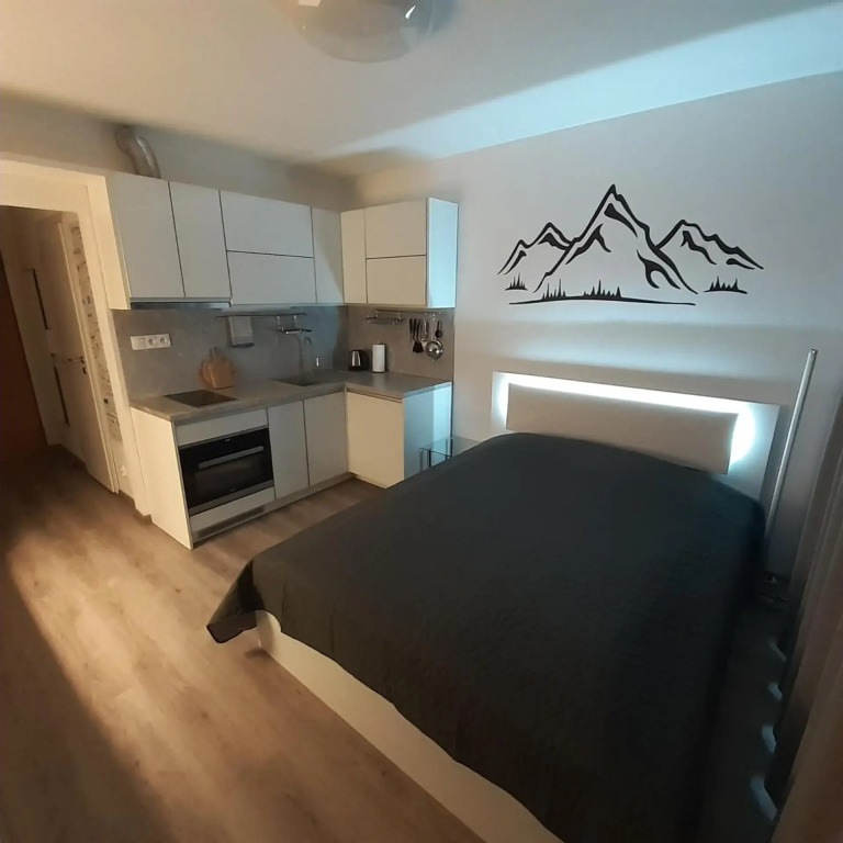 Mountain View Studio Apartment