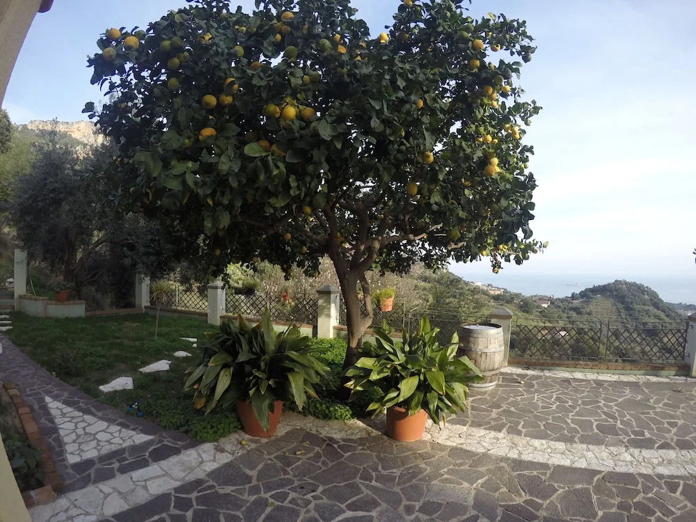 Appartamenti Con Vista Panoramica