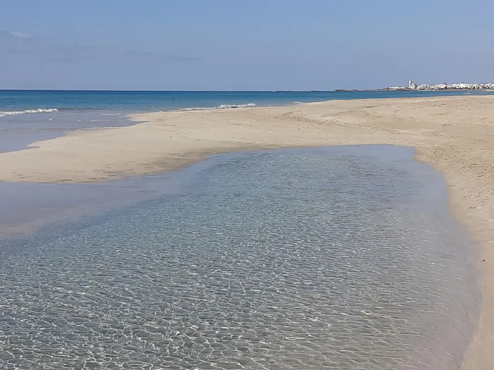 Hotel Club Poseidone Beach Resort