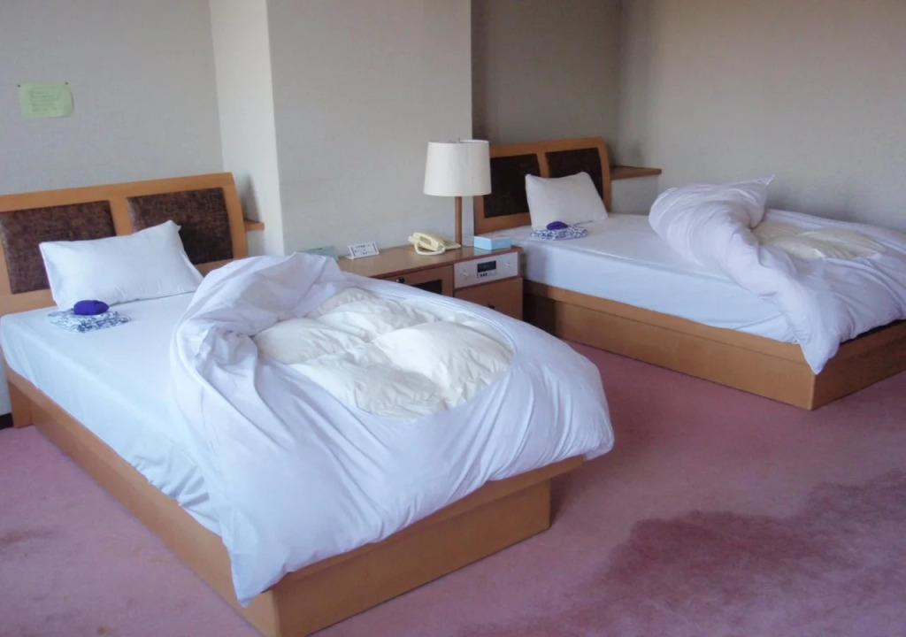 Nari Aizu Lodge