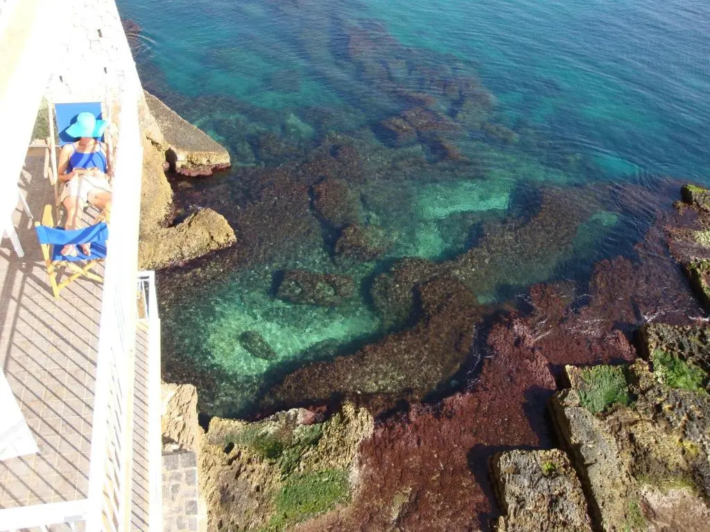 Giuggiulena
