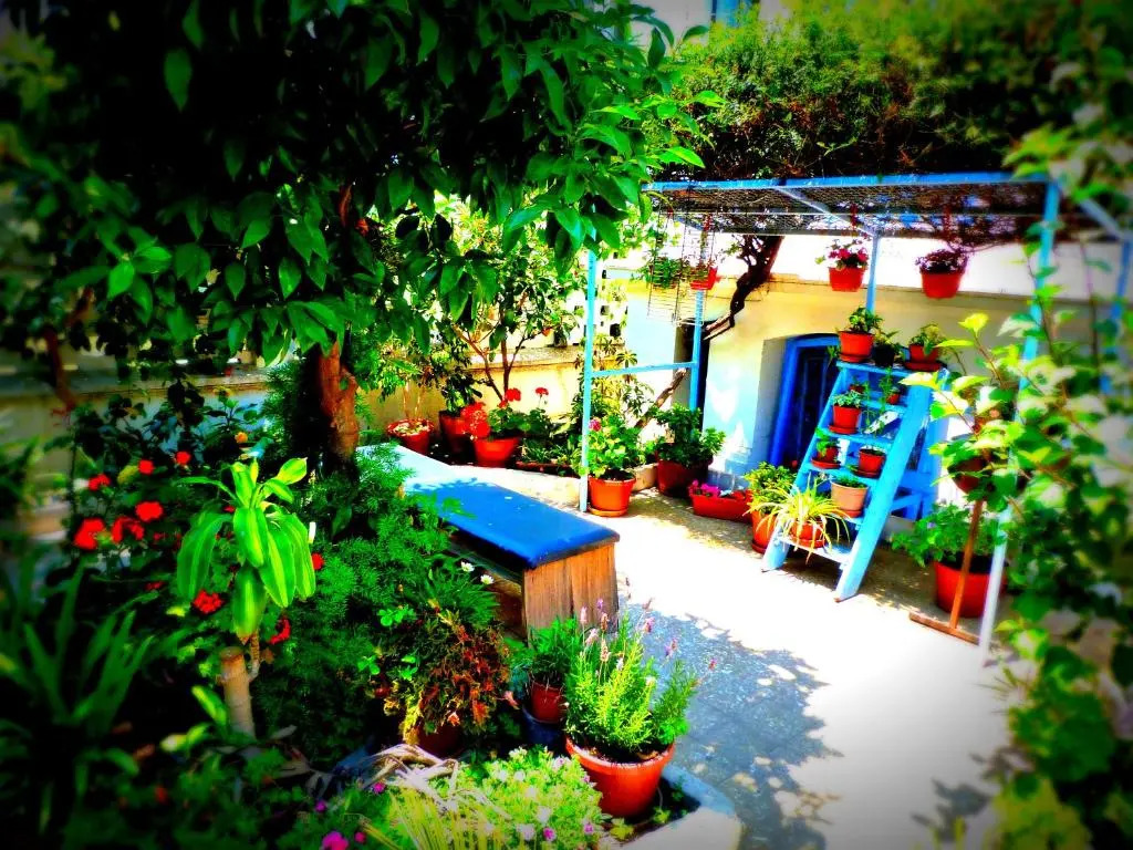 Blanca Rosa Valparaiso B&B